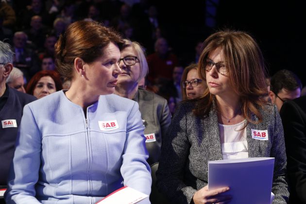 bratusek kociper bobo.jpg