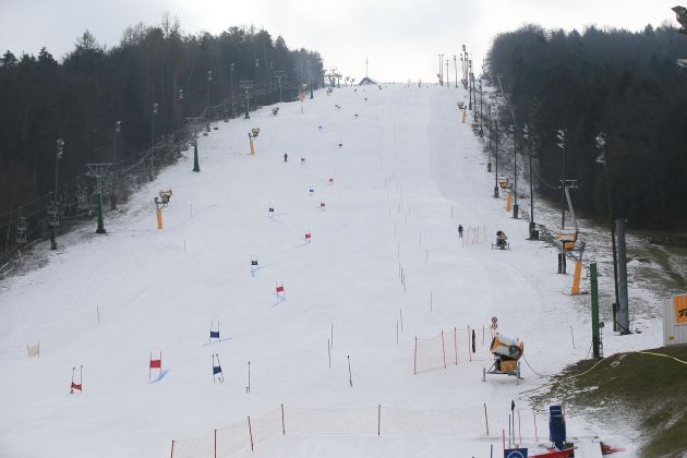 pohorje zlata lisica.jpg