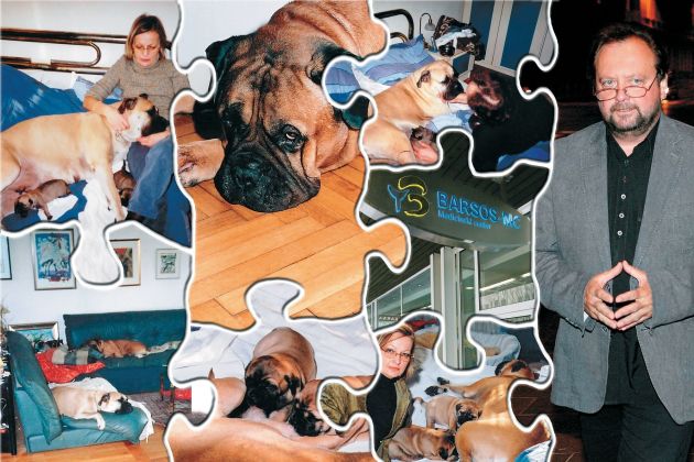 sasa baricevic bulmastifi.jpg