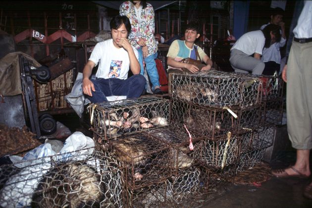 3-Wuhan trznica-profimedia-0494838131.jpg