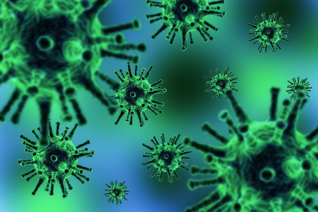 koronavirus.jpg