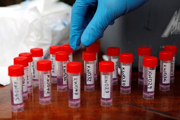 koronavirus, testiranje.JPG