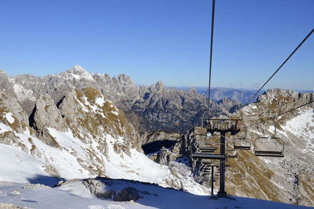 kanin zicnica smucisce bobo.jpg