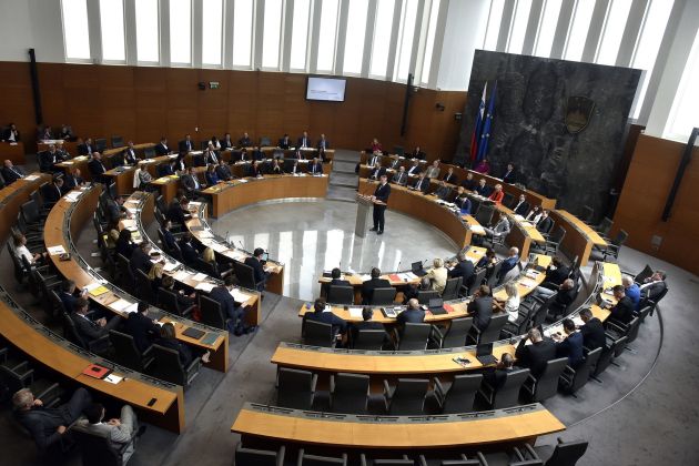 drzavni zbor dz bobo.jpg