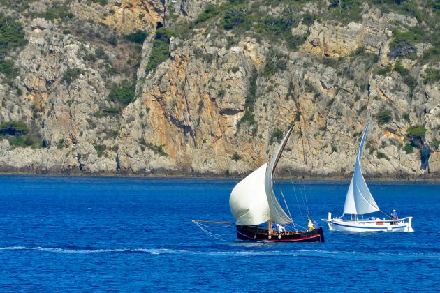 otok vis regata komiza palagruza bobo.jpg