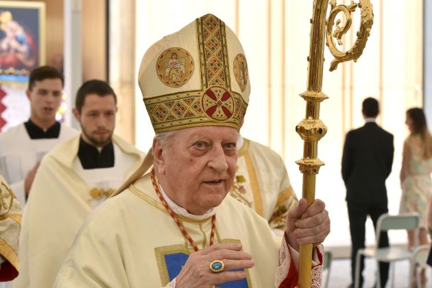 DOG20200815_GIL7664 (1).jpg