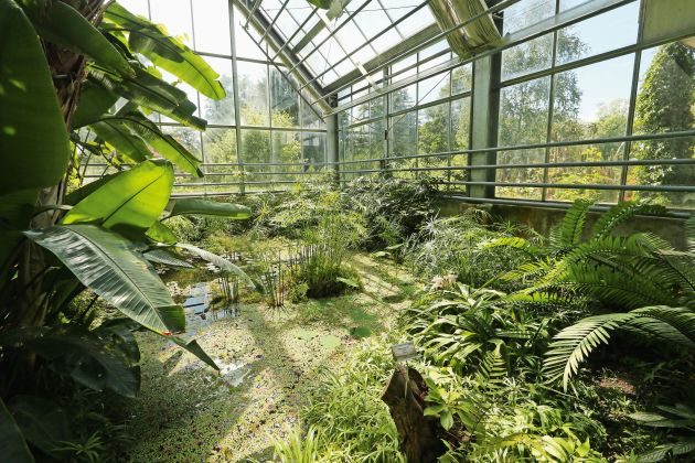 botanicni vrt pl1.JPG