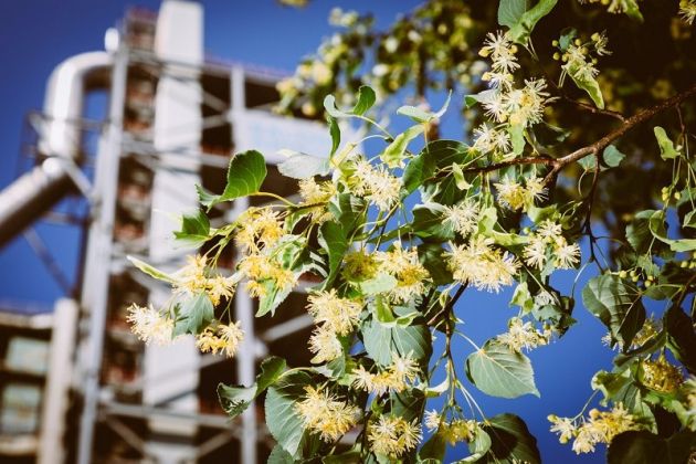 salonit anhovo okolje.JPG