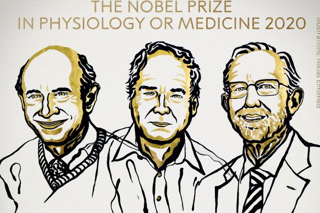 alter houghton rice.jpg