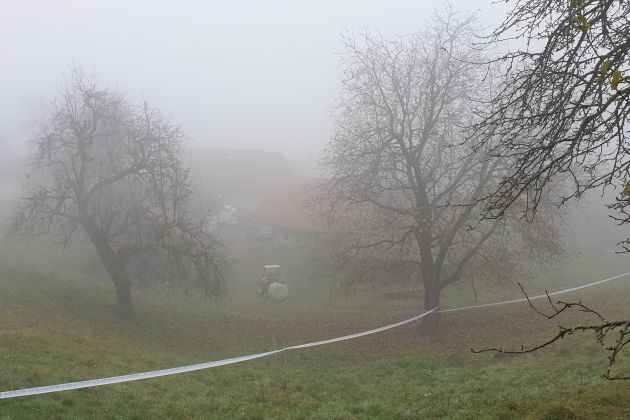 jance umor kmetija bucar bk.jpg