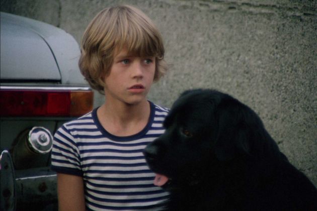 sreca na vrvici2.jpg