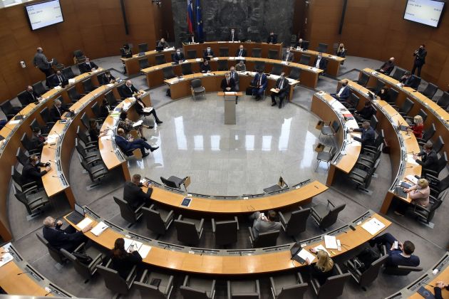 drzavni zbor dz bobo.jpg