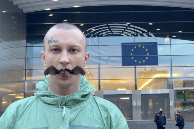 davidcenko netopir eu parlament.jpg