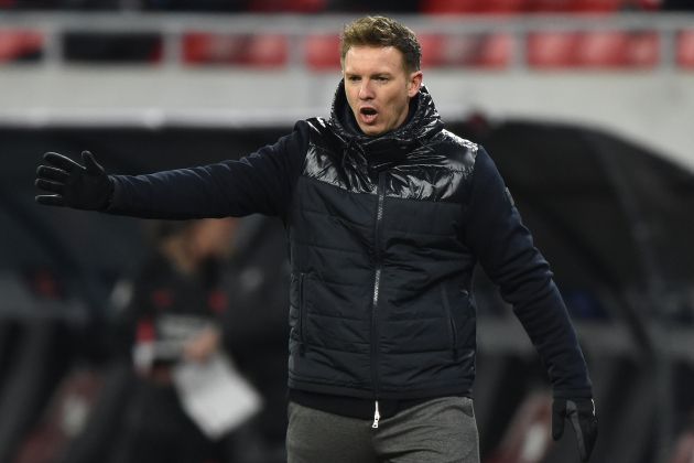 nagelsmann profi.jpg