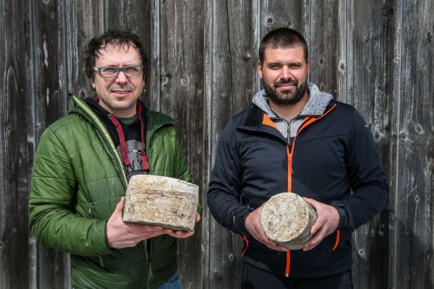 golden ring david licen kristjan vidmar pl.jpg