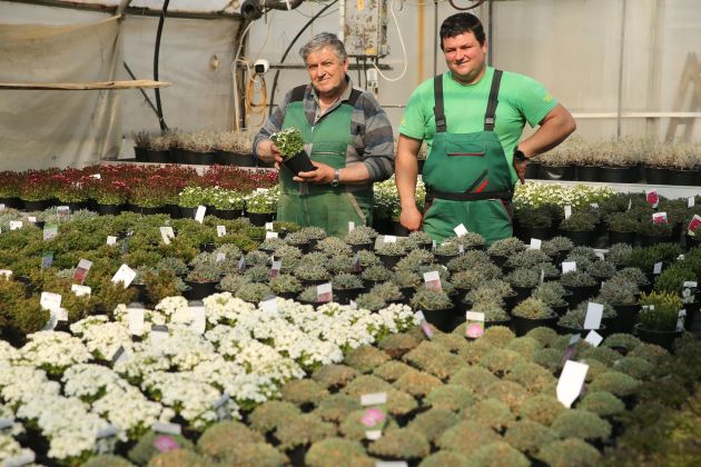 bilban vrtnarstvo4.JPG