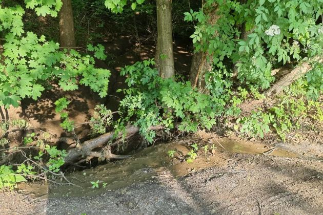 hoče-slivnica, pivola, onesnaženje