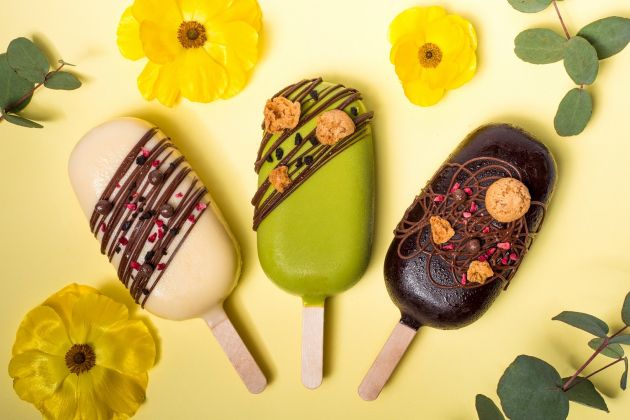 Sadno-veganski sladoled iz pravega sadja in mlečni sladoled iz domačega mleka.jpg