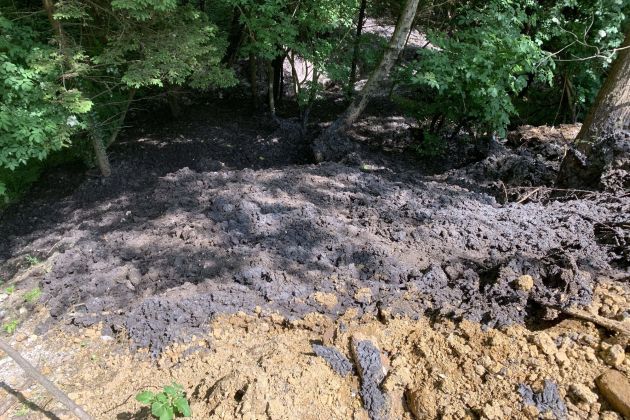 hoce blato pivola.jpg