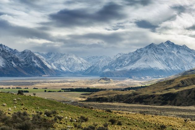 nova zelandija pf.jpg