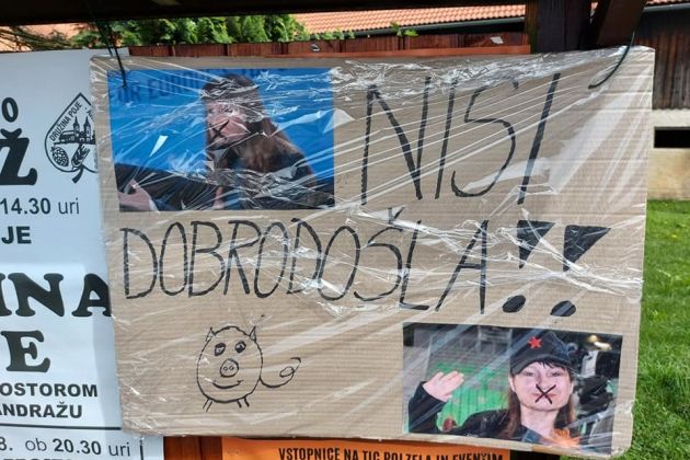 violeta tomic nisi dobrodosla.jpg