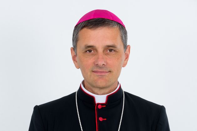 novomeški-škof-andrej-saje