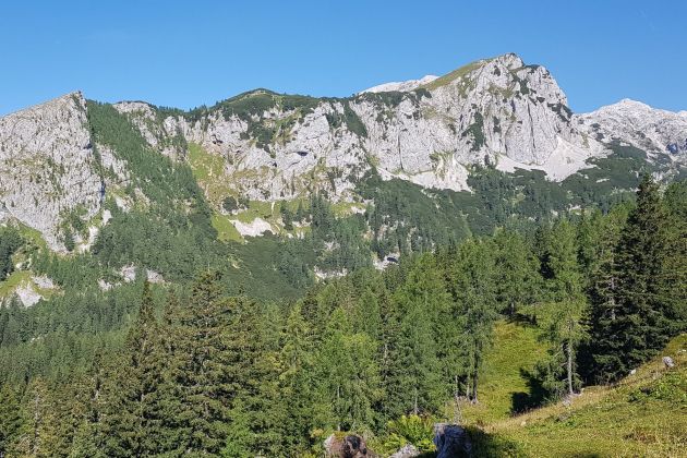 ogradi krstenica mm.jpg