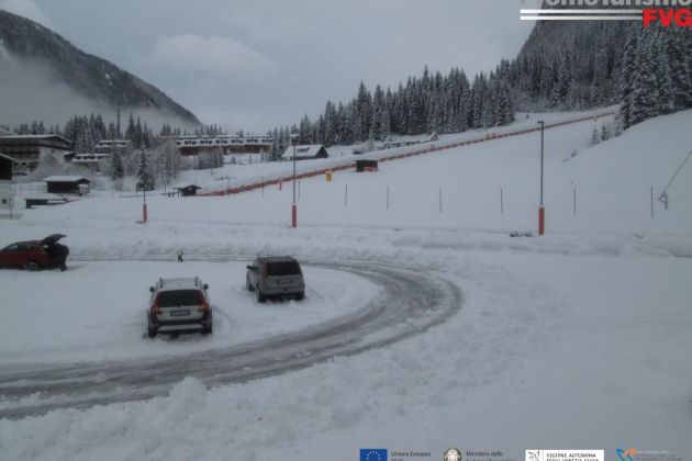 kanin spletna kamera.jpg