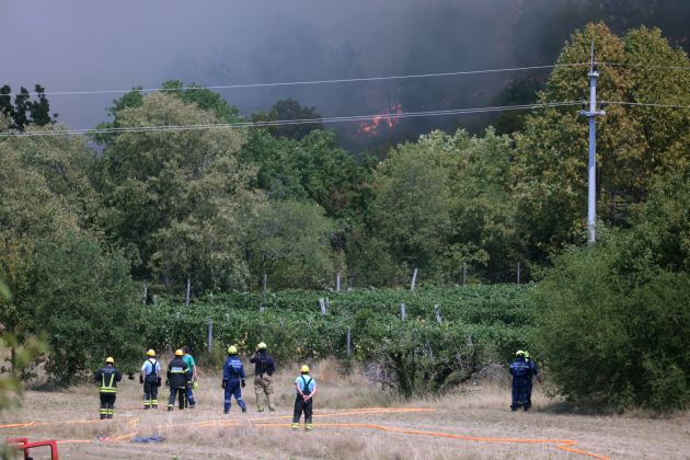 kostanjevica-na-krasu, požar, gašenje