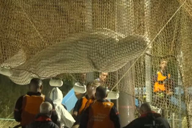 beliga kit sena francija.jpg