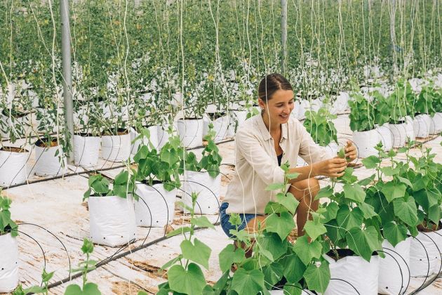 Rural Innovation[23].jpg