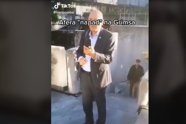 jansa grims tiktok.jpg