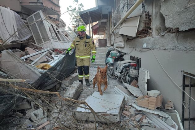 potres v turčiji, slovenski pes, reševanje