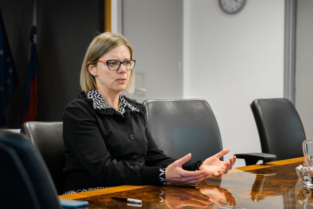 sanja ajanovic hovnik s-svigelj.jpg