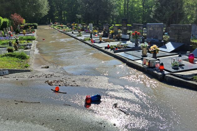 neurje Trbovlje 3-grobovi.jpg