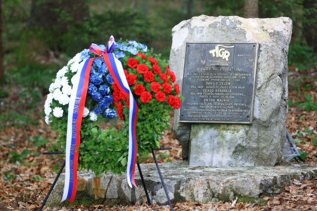 tigr mala gora bobo.jpg