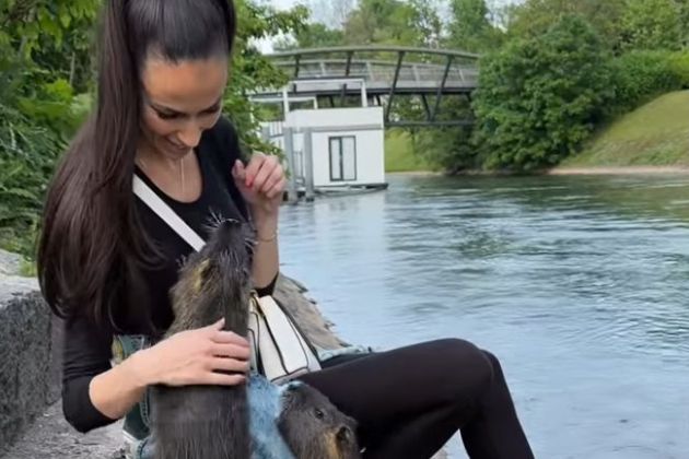 tina gaber nutrije.jpg