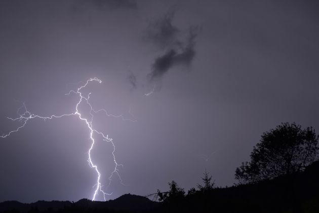 neurje strela bobo.JPG