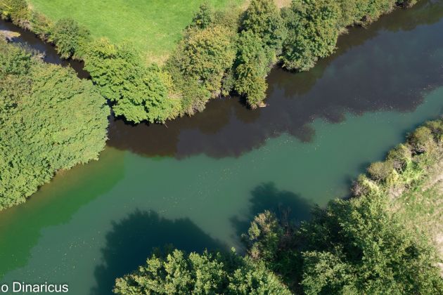 ljubljanica, onesnaženje.jpg