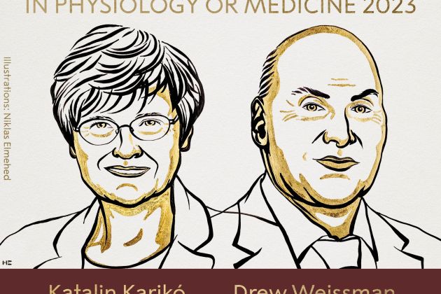 kariko weissman.jpg