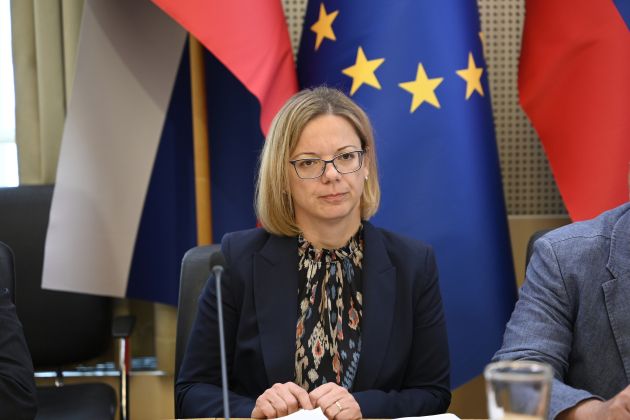 sanja ajanović hovnik.jpg