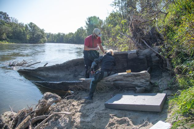 deblak, mura, hrastje-mota