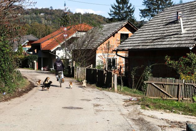 zabjak brezje romi pl1.jpg