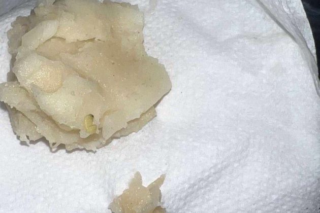 mlinci, črvi, osnovna šola rače