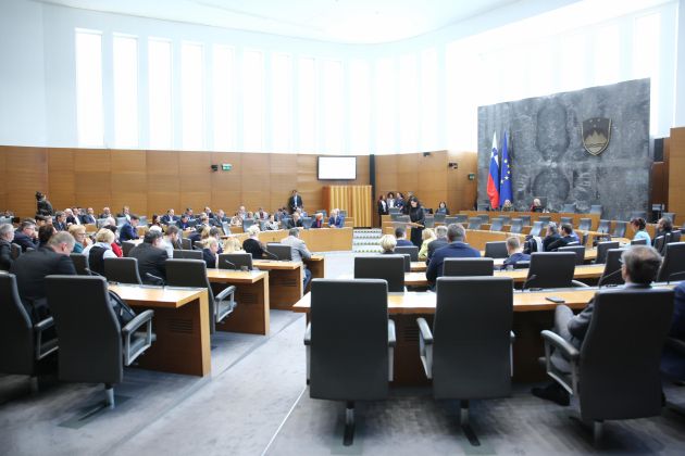 drzavni zbor seja dz.jpg