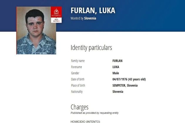 luka furlan.jpg