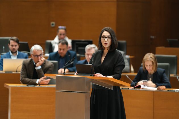 emilija stojmenova duh dz jk.jpg