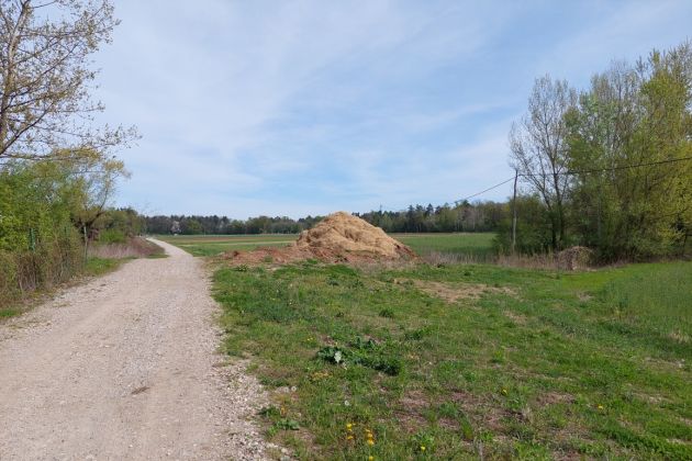 kidričevo, markovci, sabina, umor