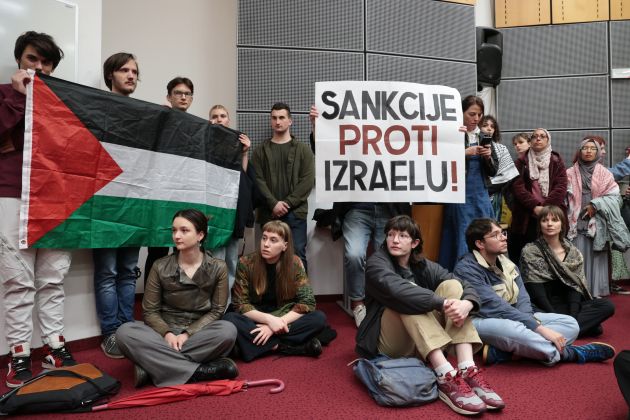 fdv, palestina, podpora, protest