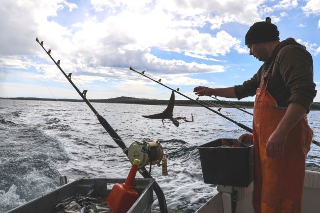 renninger tuna ribolov pl.JPG